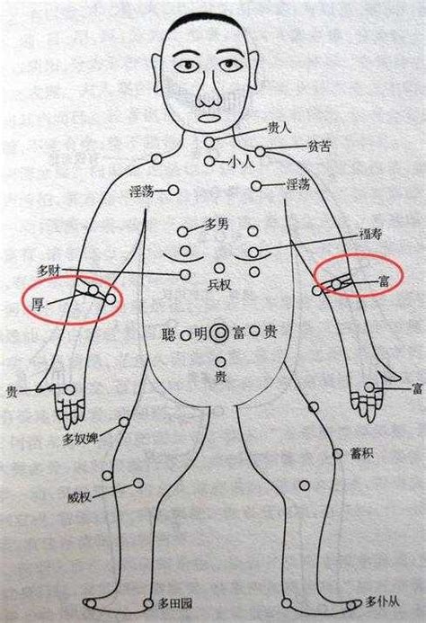 左手臂內側有痣女|痣的位置透露出這些訊息！上手臂有痣不乏追求者、手。